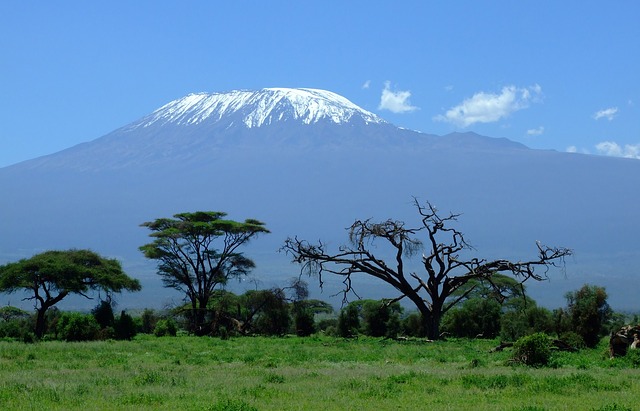 krása Kilimanjara
